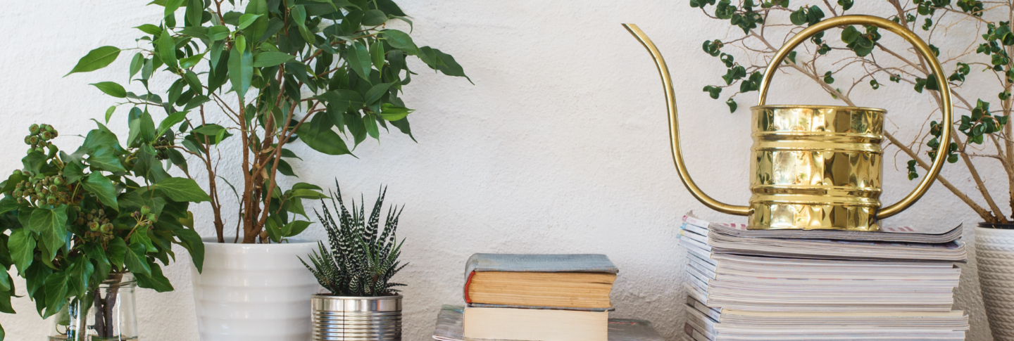 high end watering can in luxury townhome