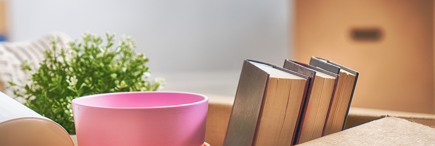 Books in a living room