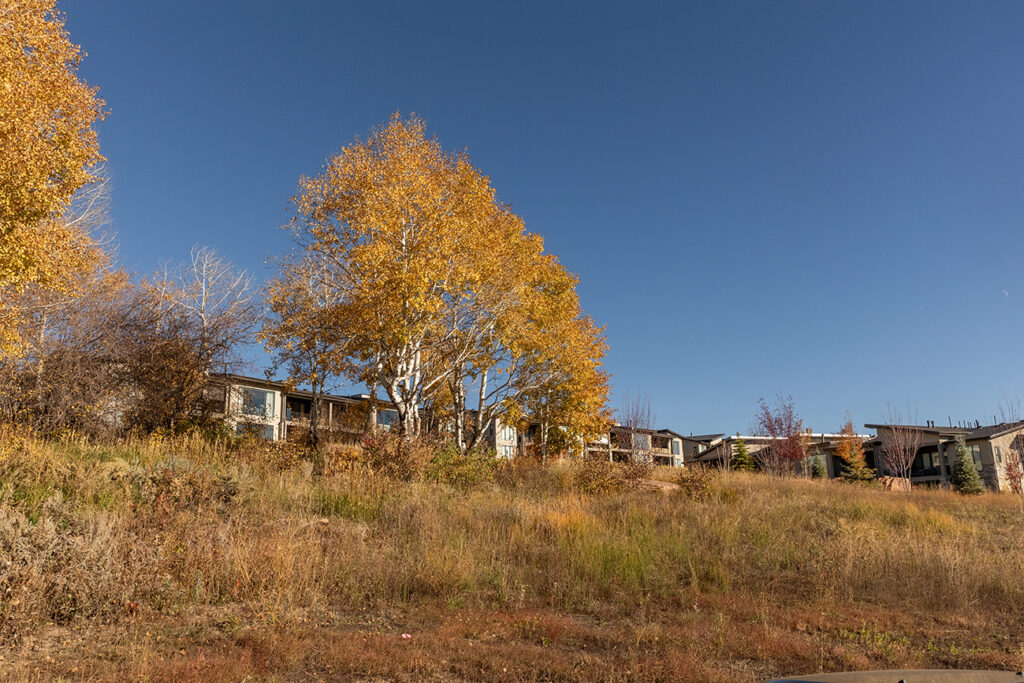 Shoreline Park City Utah Community