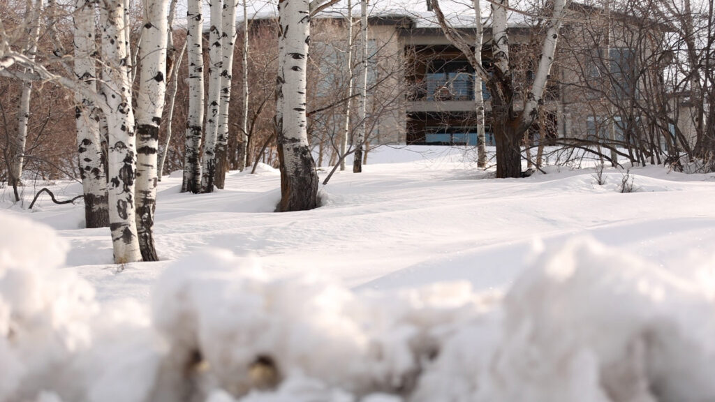 Shoreline Park City Utah Exterior View