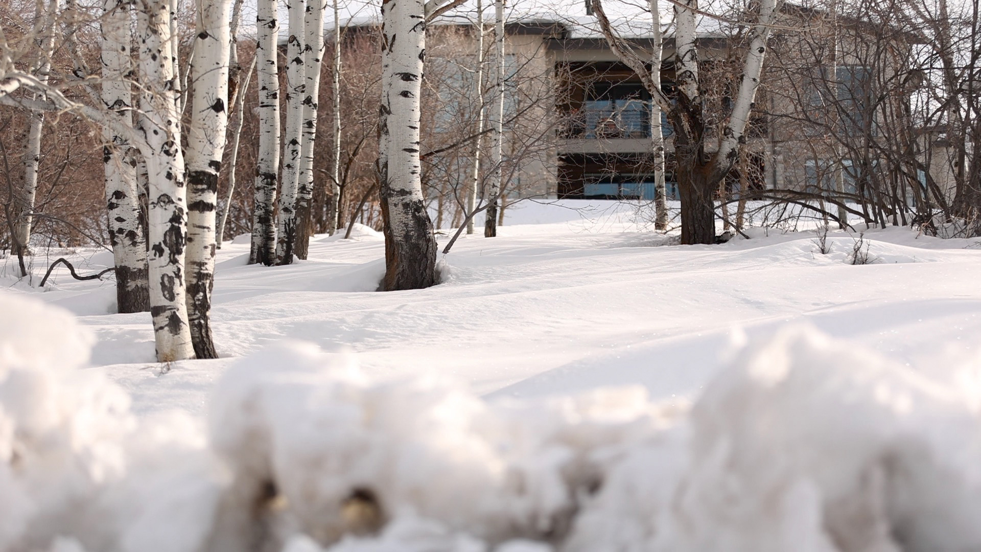 Shoreline Park City Utah Exterior View